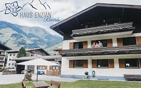 Appartements Enzian By We Rent
